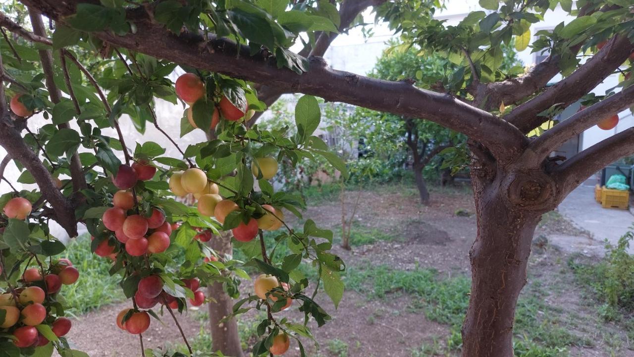 Jonia Appartamento Vacanze Vicino Al Mare Con Giardino Pulsano Kültér fotó