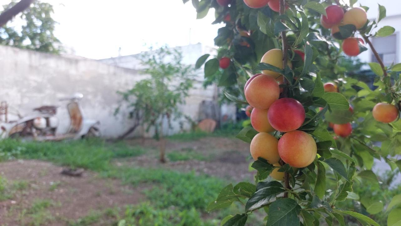 Jonia Appartamento Vacanze Vicino Al Mare Con Giardino Pulsano Kültér fotó