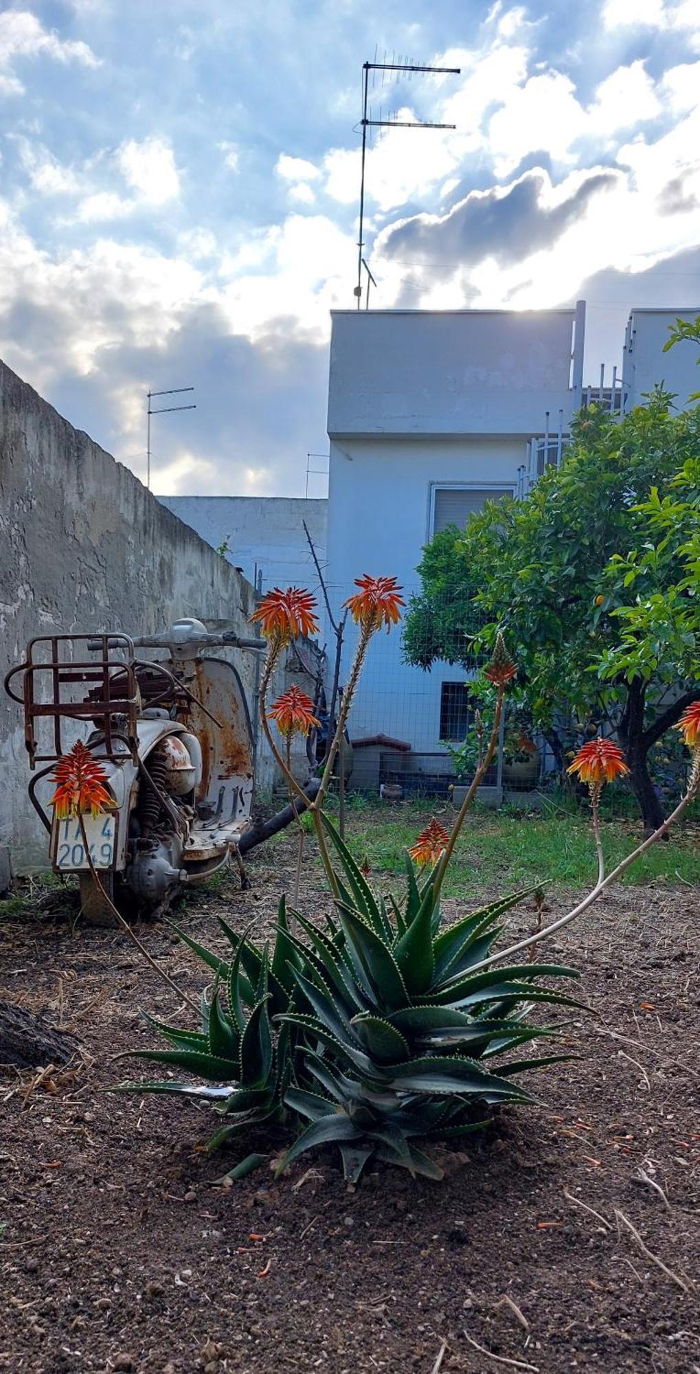 Jonia Appartamento Vacanze Vicino Al Mare Con Giardino Pulsano Kültér fotó
